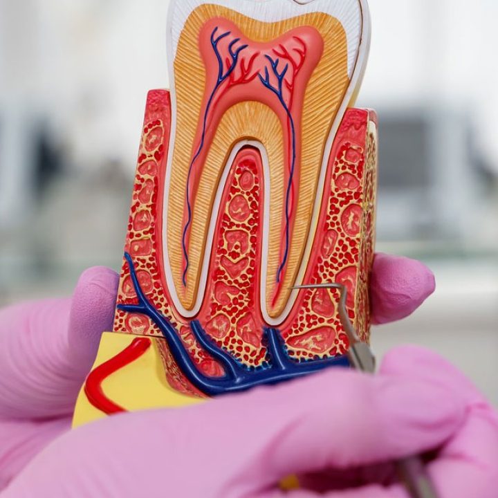 rct dental clinic